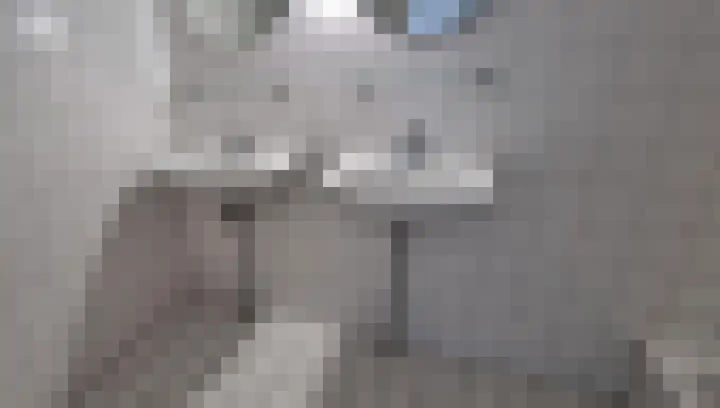 Puntenburgerlaan 81 A Amersfoort thumbnail 18