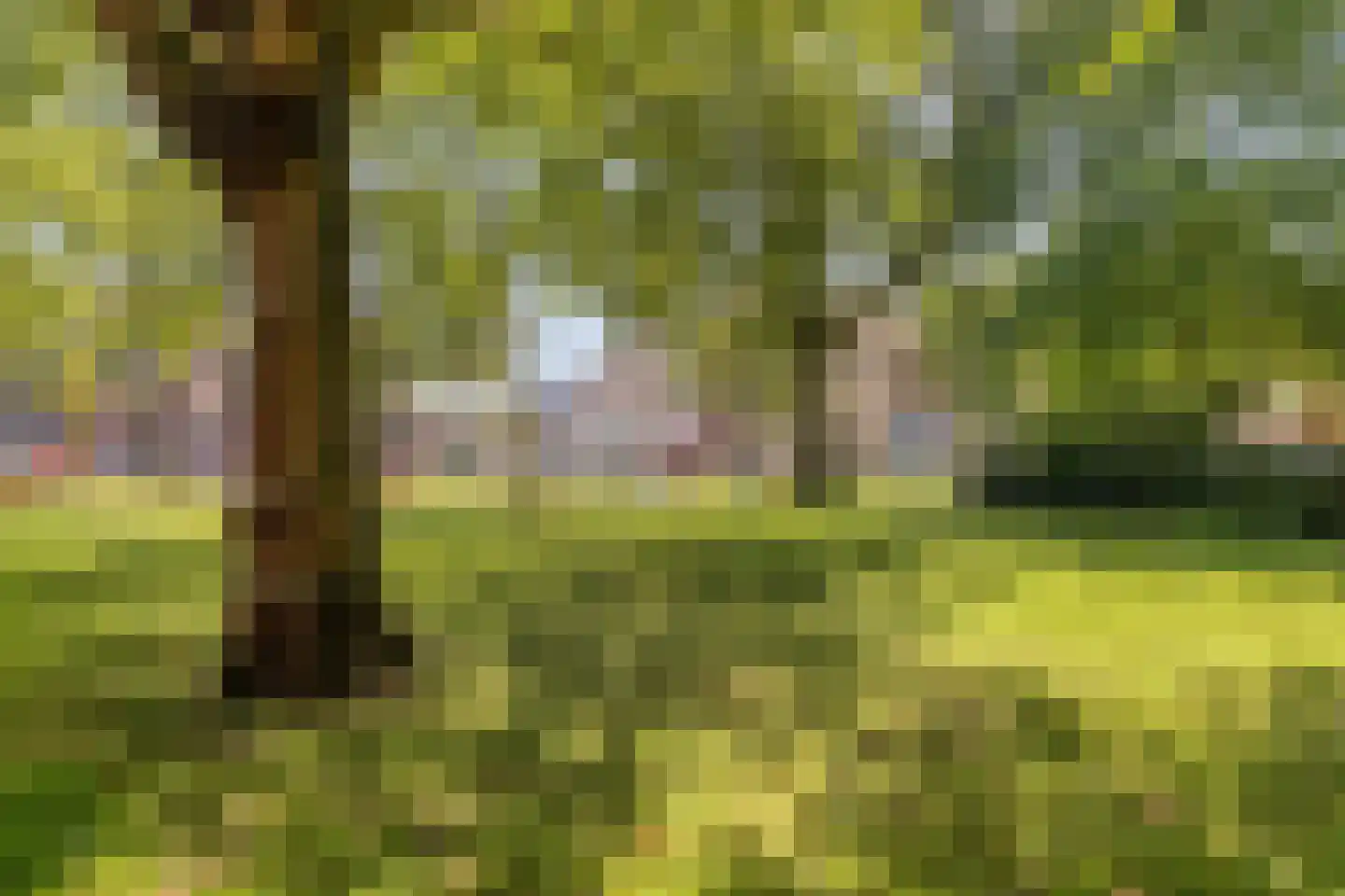 Puntenburgerlaan 81 K Amersfoort thumbnail 36