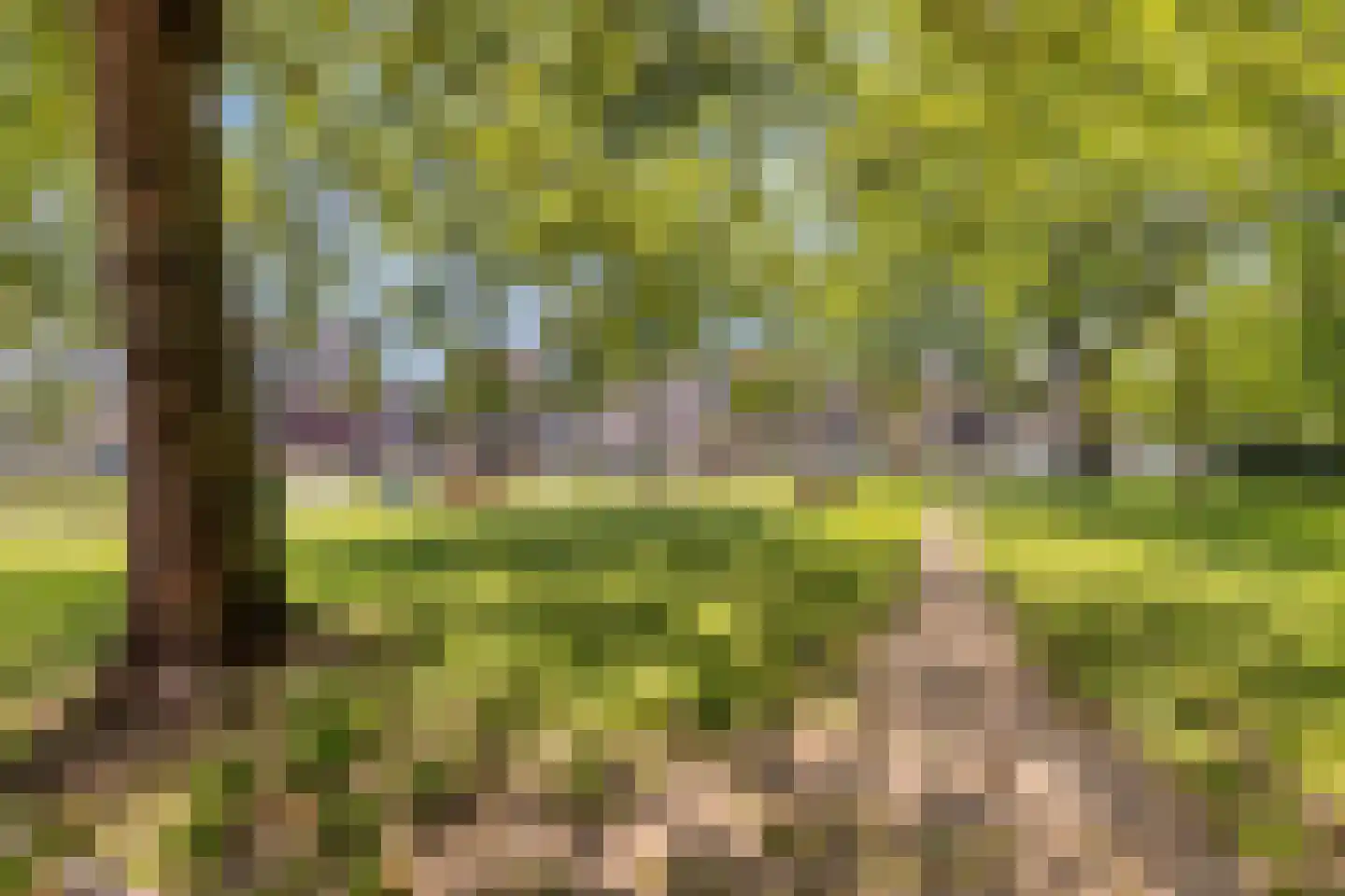 Puntenburgerlaan 81 K Amersfoort thumbnail 37