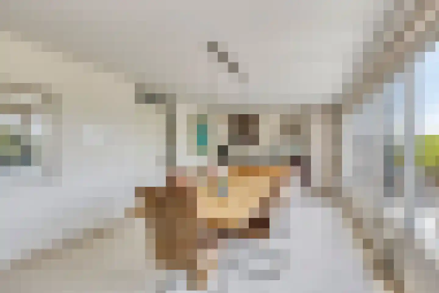 Puntenburgerlaan 81 K Amersfoort thumbnail 8