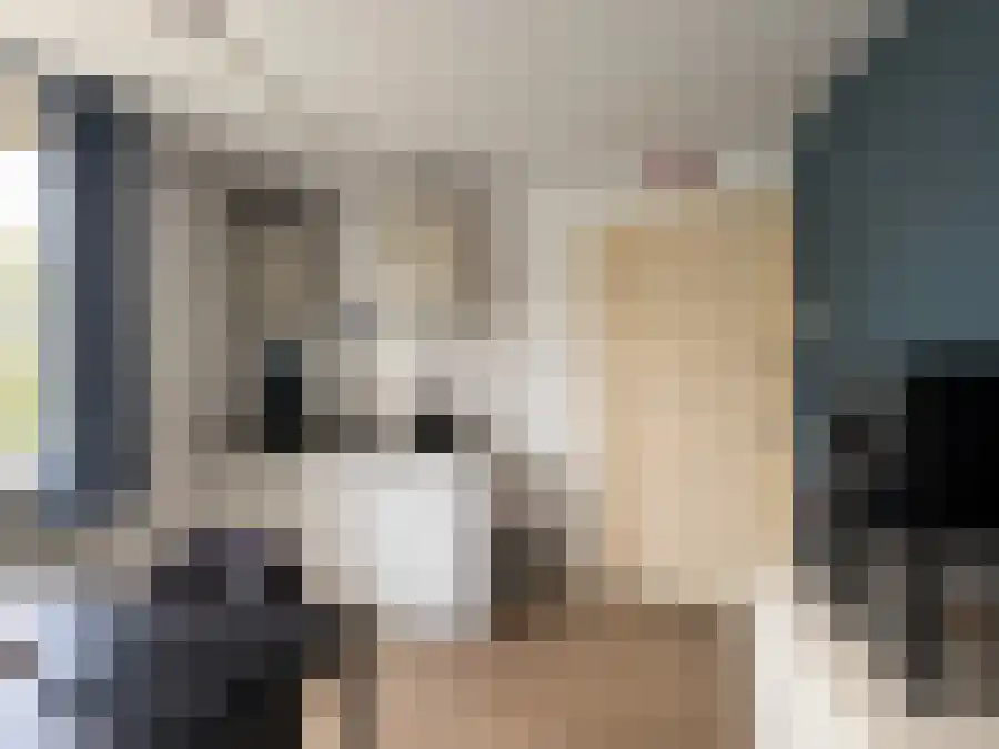Puntenburgerlaan Amersfoort thumbnail 4