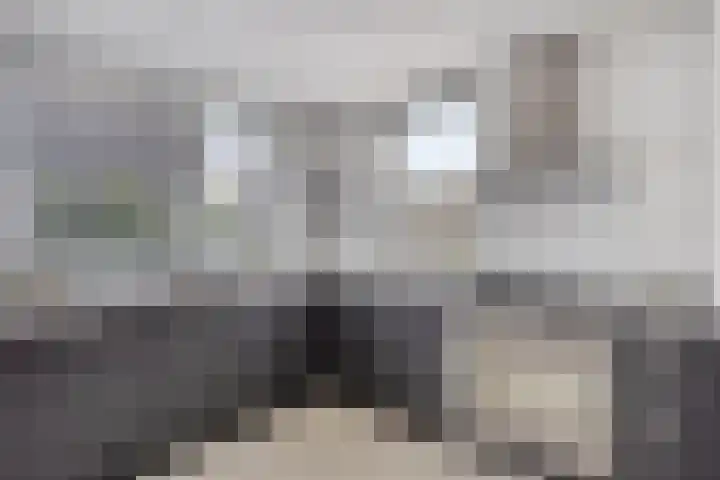 Punter 10 10 7 Lelystad thumbnail 33