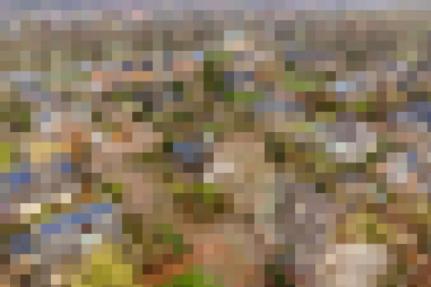 Punter 10 10 7 Lelystad thumbnail 4