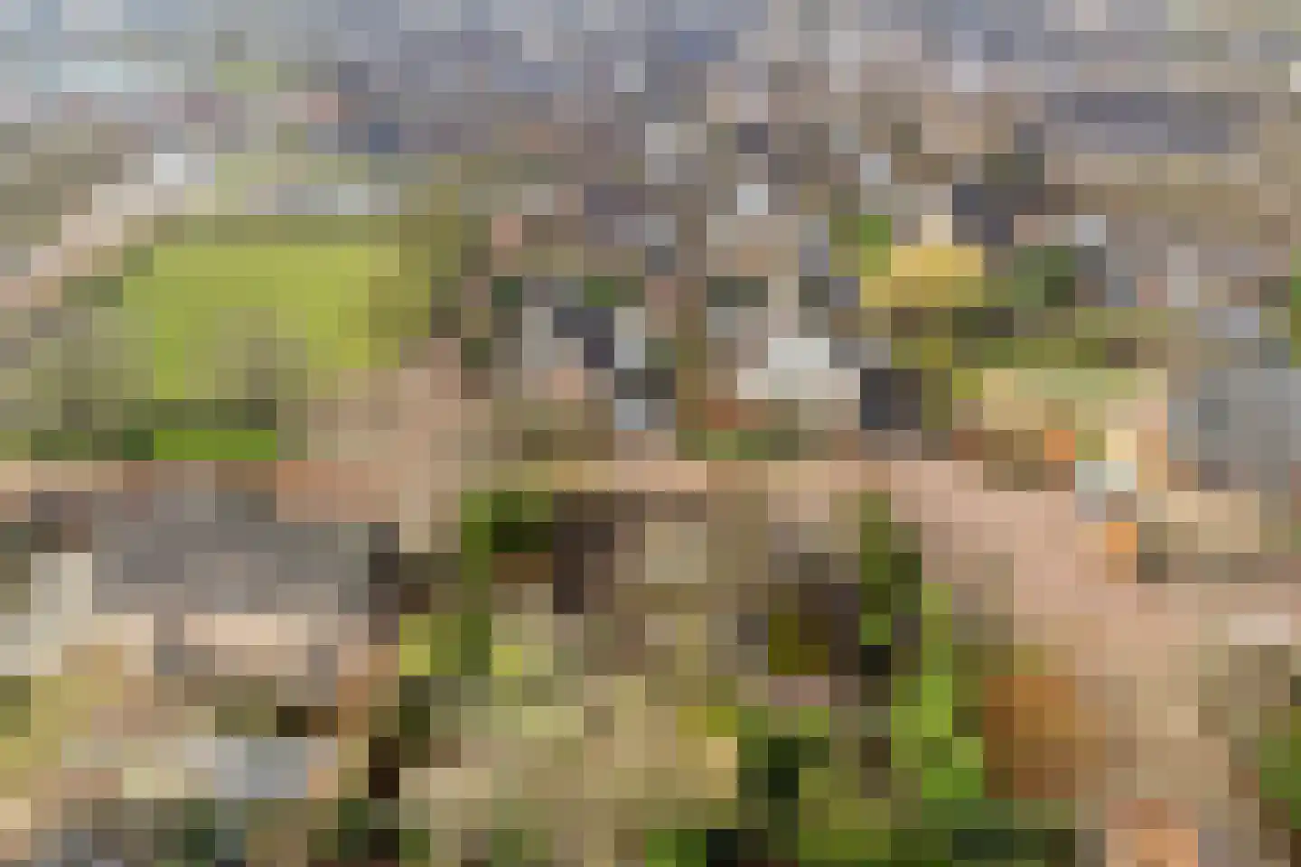 Punter 10 10 7 Lelystad thumbnail 49