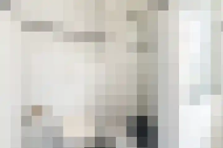 Punter 13 13 8 Lelystad thumbnail 19