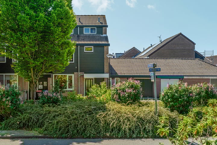 Punter 14 9 in Lelystad photo