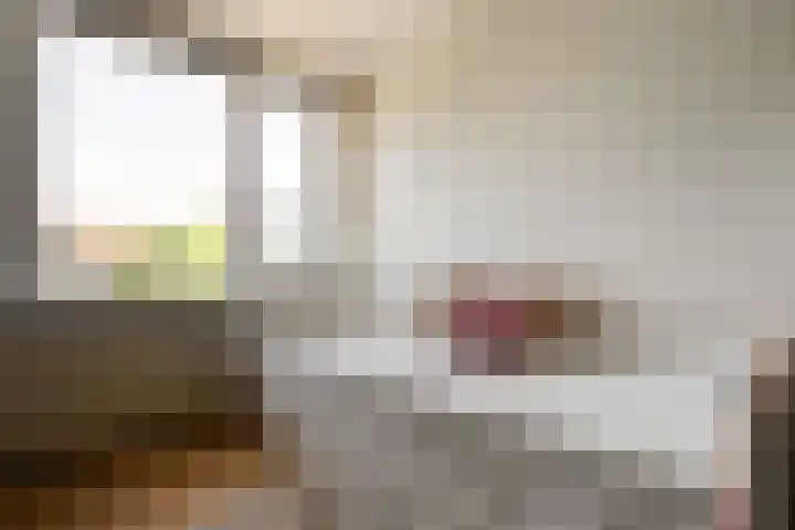 Punter 15 15 18 Lelystad thumbnail 34