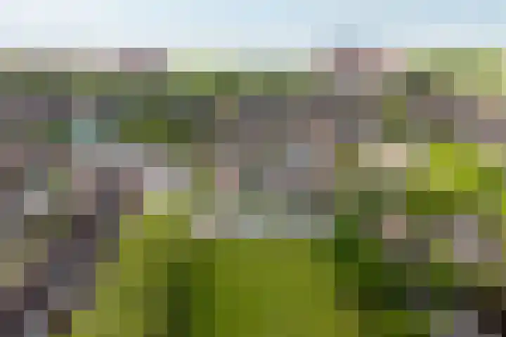 Punter 15 15 18 Lelystad thumbnail 9