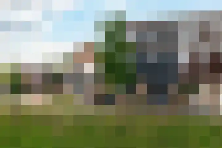 Punter 15 18 Lelystad thumbnail 4