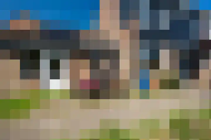 Punter 15 18 Lelystad thumbnail 6