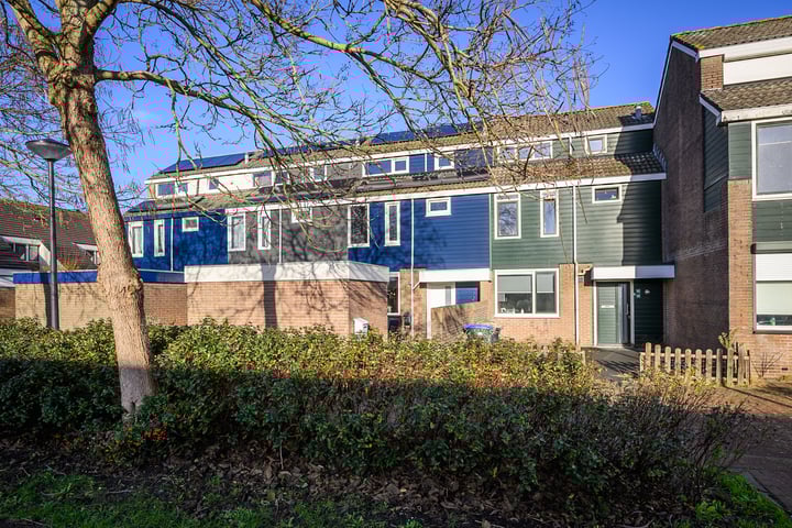 Punter 16 18 in Lelystad photo