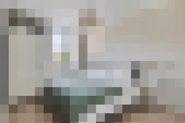 Punter 18 Zeewolde thumbnail 17
