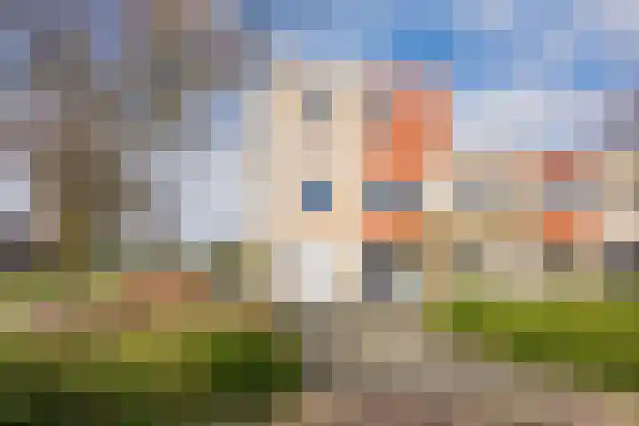 Punter 19 Nijkerk