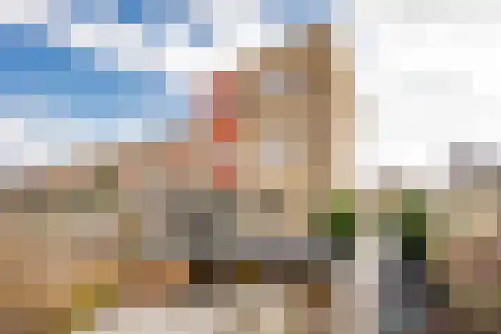 Punter 19 Nijkerk thumbnail 22