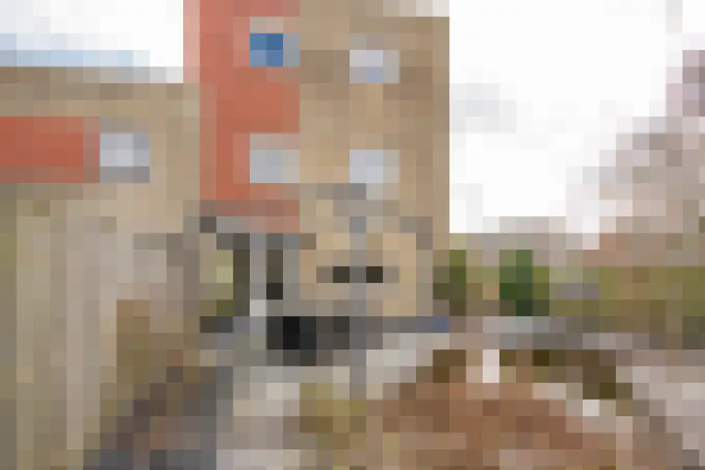 Punter 19 Nijkerk thumbnail 23