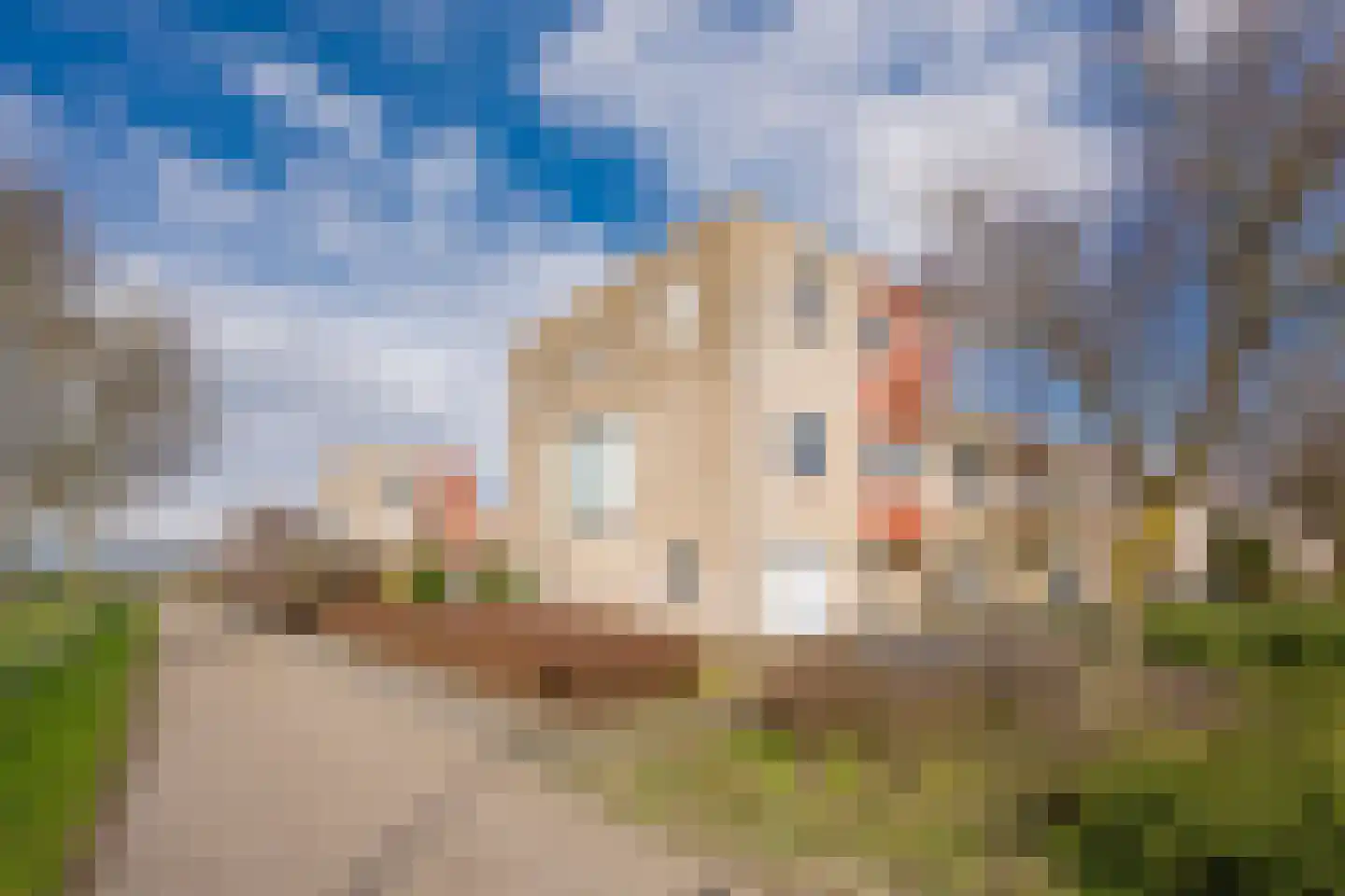 Punter 19 Nijkerk thumbnail 27