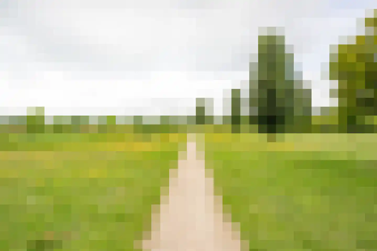 Punter 19 Nijkerk thumbnail 33