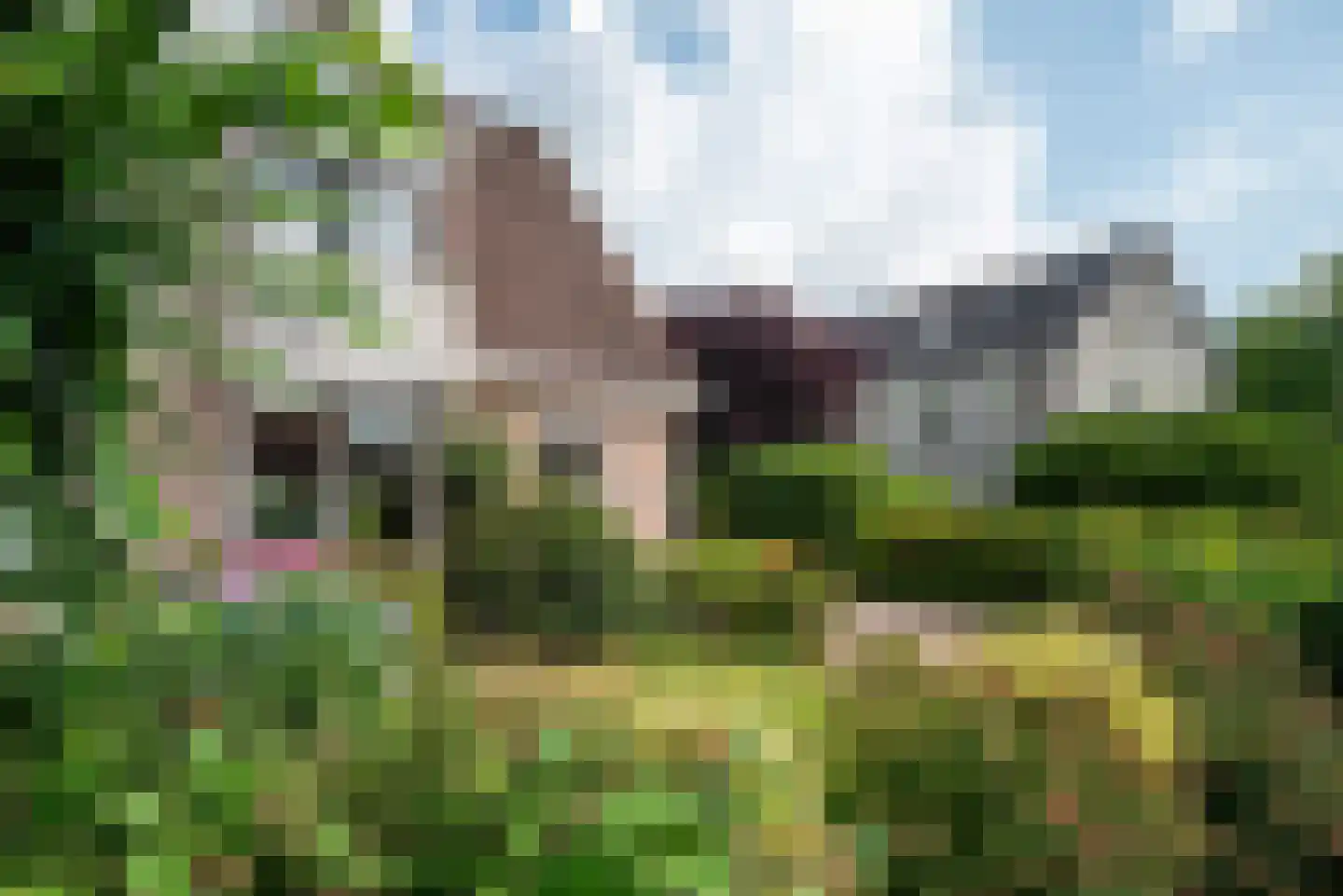 Punter 19 Zuidhorn thumbnail 10