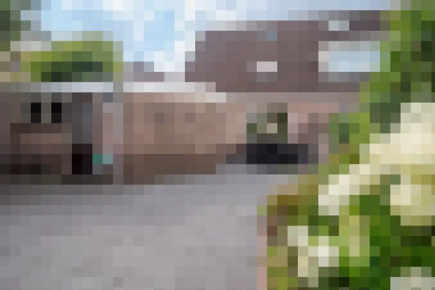 Punter 19 Zuidhorn thumbnail 39