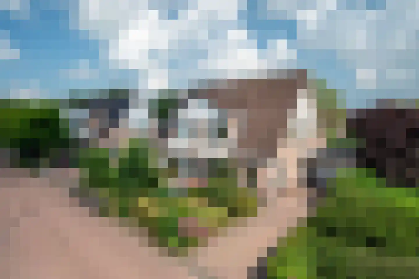 Punter 19 Zuidhorn thumbnail 4