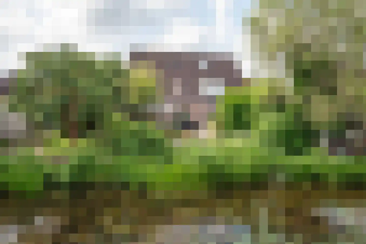 Punter 19 Zuidhorn thumbnail 44
