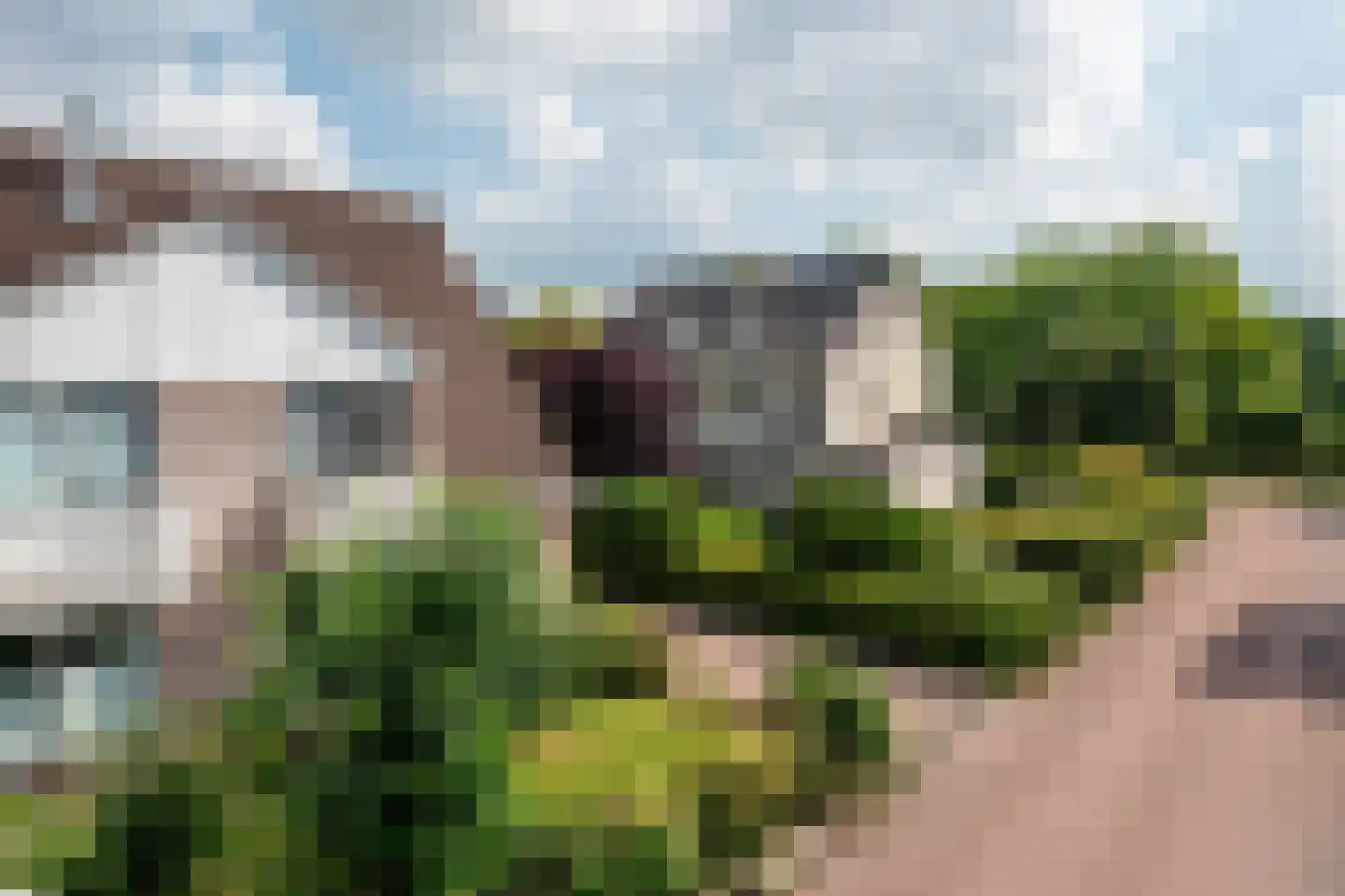 Punter 19 Zuidhorn thumbnail 5