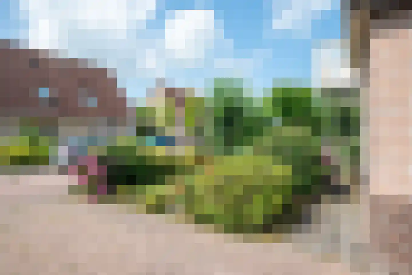 Punter 19 Zuidhorn thumbnail 7