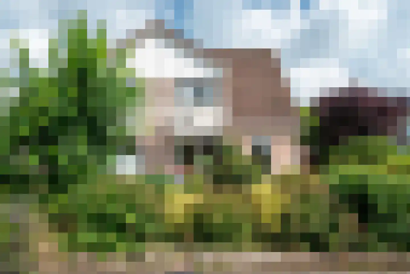Punter 19 Zuidhorn thumbnail 9
