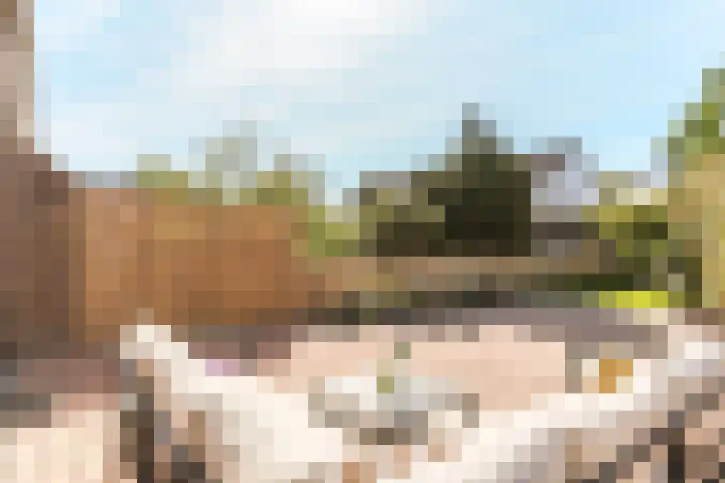 Punter 20 15 Lelystad thumbnail 6