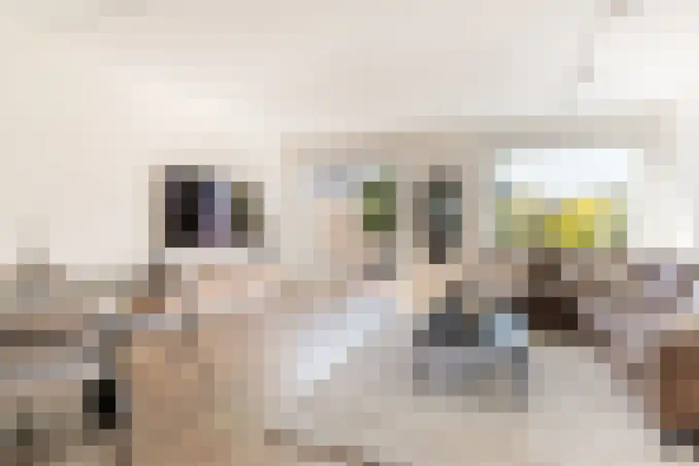 Punter 20 15 Lelystad thumbnail 8