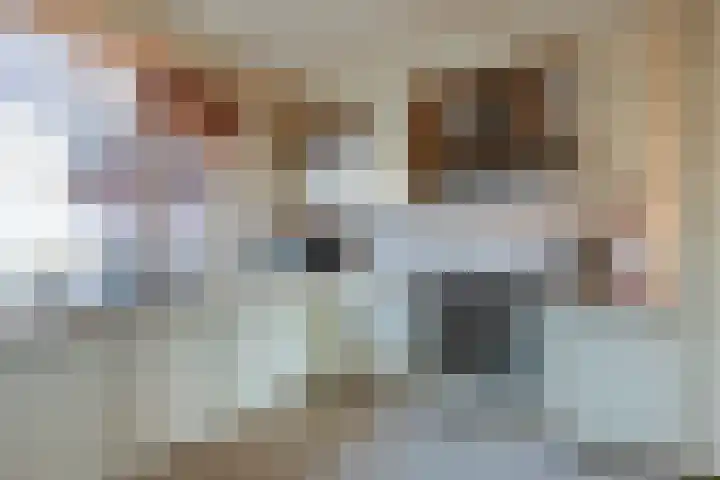 Punter 20 20 41 Lelystad thumbnail 18
