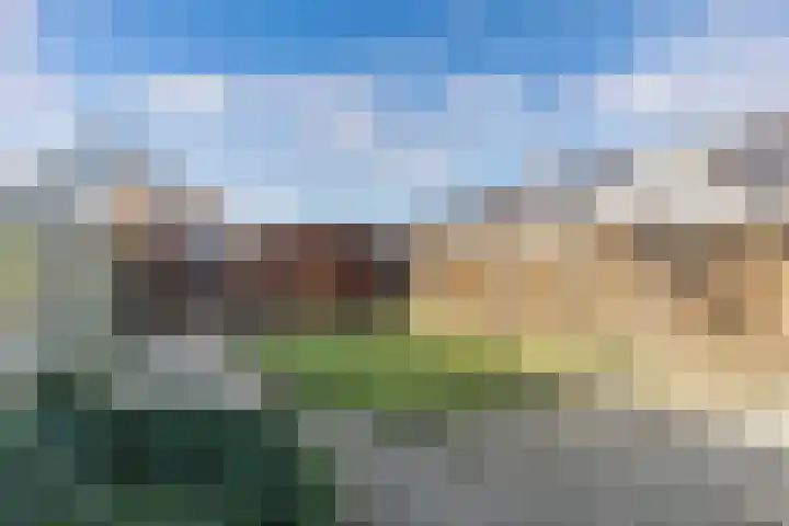 Punter 20 20 41 Lelystad thumbnail 32