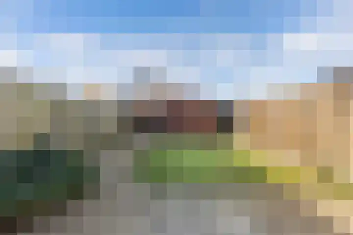 Punter 20 20 41 Lelystad thumbnail 33