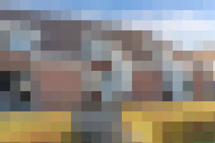 Punter 20 20 41 Lelystad thumbnail 6