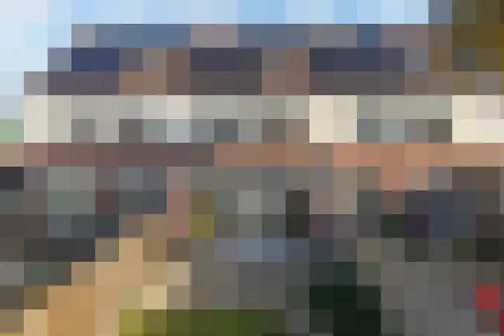 Punter 20 41 Lelystad thumbnail 29
