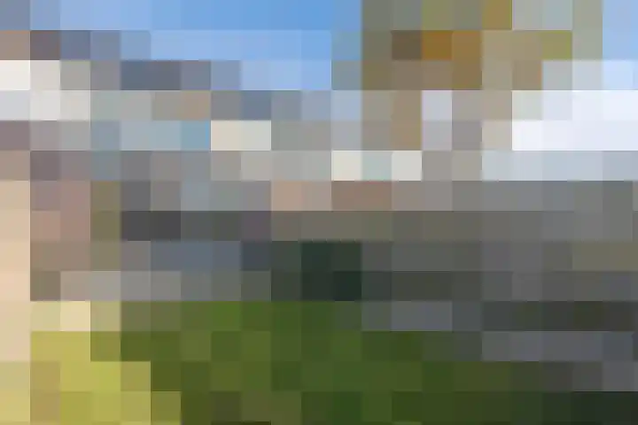 Punter 20 41 Lelystad thumbnail 31