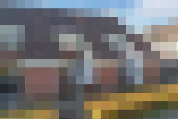 Punter 20 41 Lelystad thumbnail 5