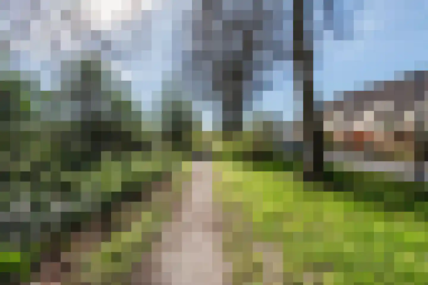Punter 24 75 Lelystad thumbnail 43