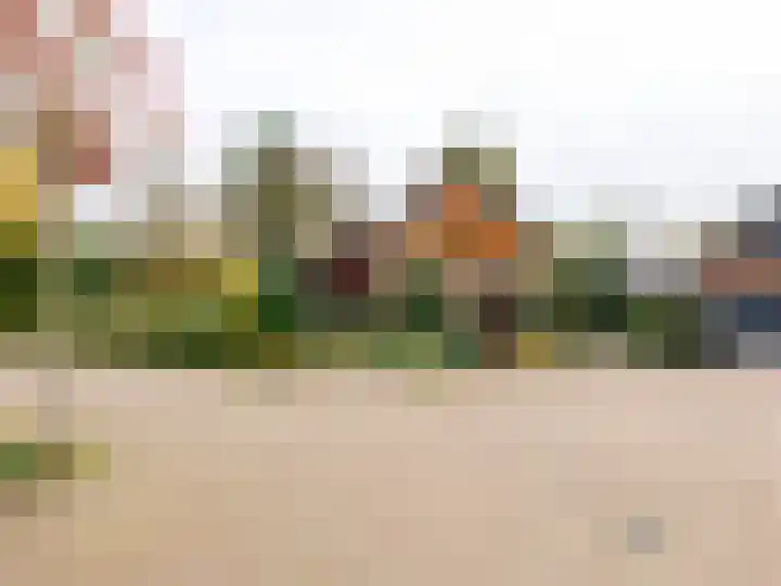 Punter 25 23 Lelystad thumbnail 5