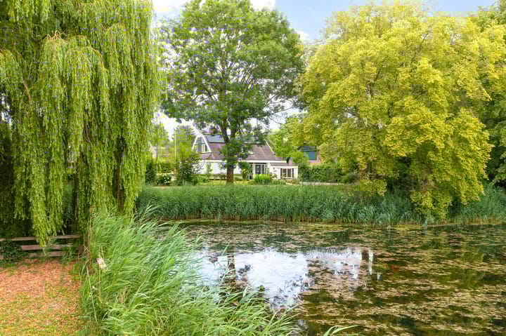 Punter 26 16 dans Lelystad photo