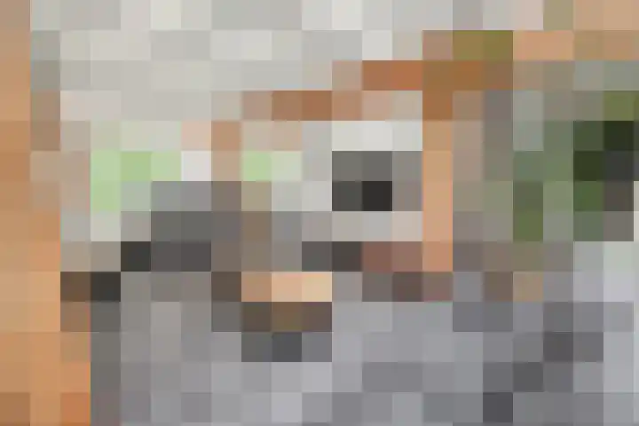 Punter 26 26 16 Lelystad thumbnail 13