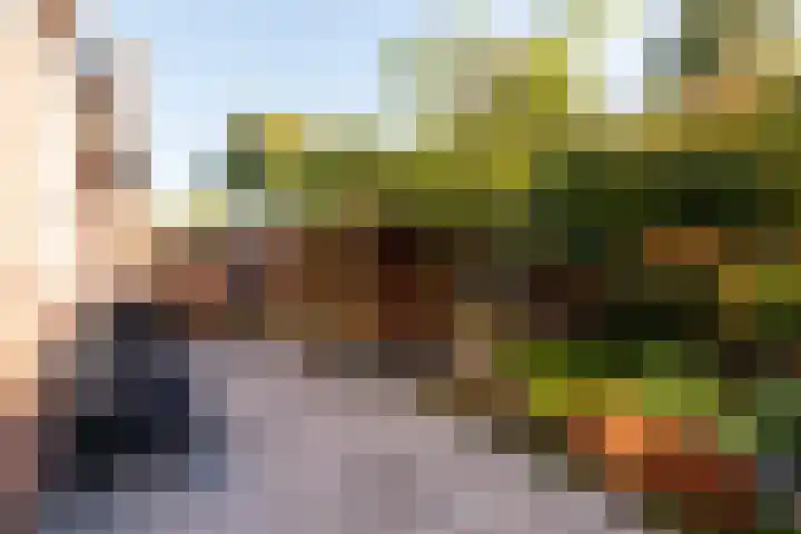 Punter 29 12 Lelystad thumbnail 43