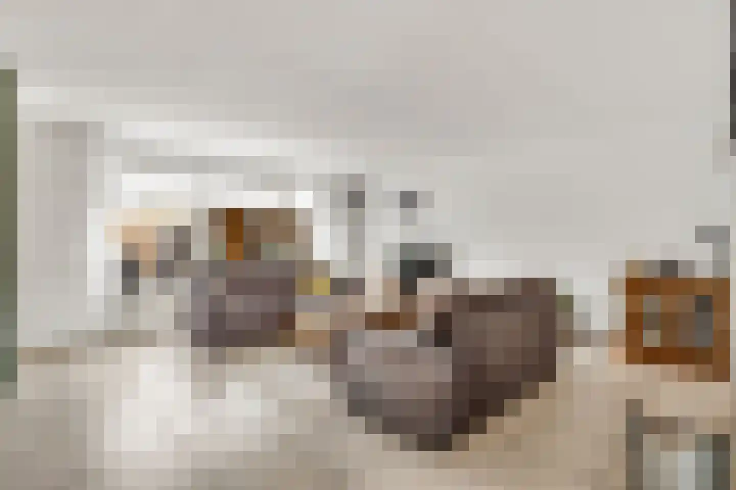 Punter 3 Nijkerk thumbnail 6