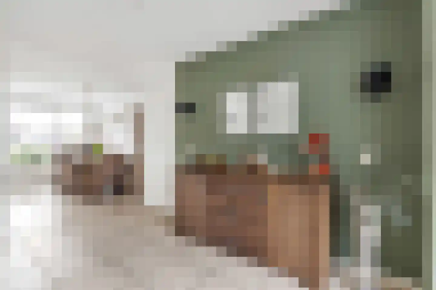 Punter 3 Nijkerk thumbnail 8