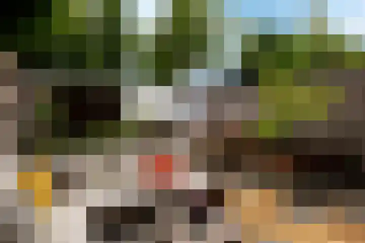 Punter 3 Veenendaal thumbnail 31