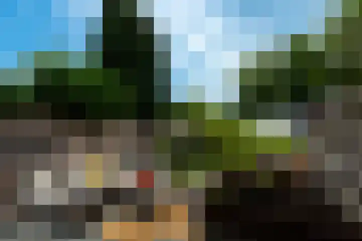 Punter 3 Veenendaal thumbnail 32