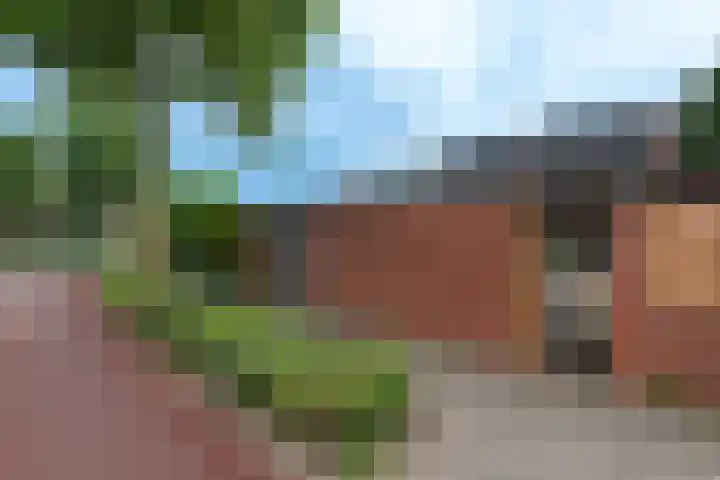 Punter 3 Veenendaal thumbnail 35
