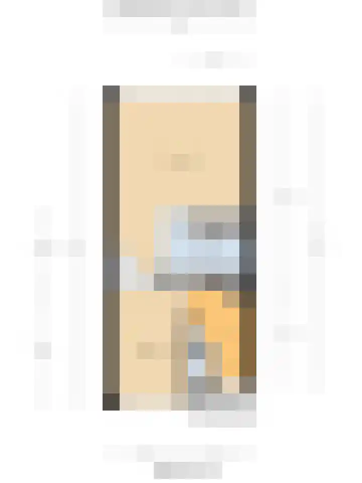Punter 3 Veenendaal thumbnail 38
