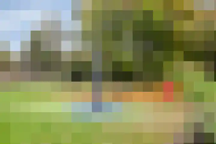 Punter 32 32 72 Lelystad thumbnail 36