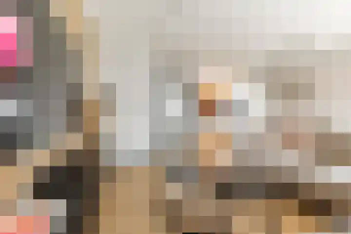 Punter 33 63 Lelystad thumbnail 8